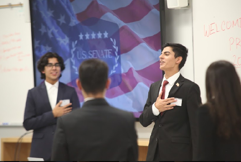 Reciting the pledge before committee